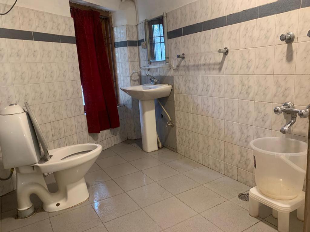 The Alpine Guest House Касоль Екстер'єр фото